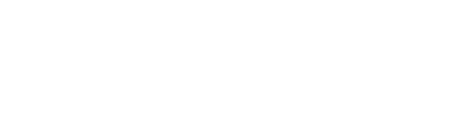 TULGA PROJECT